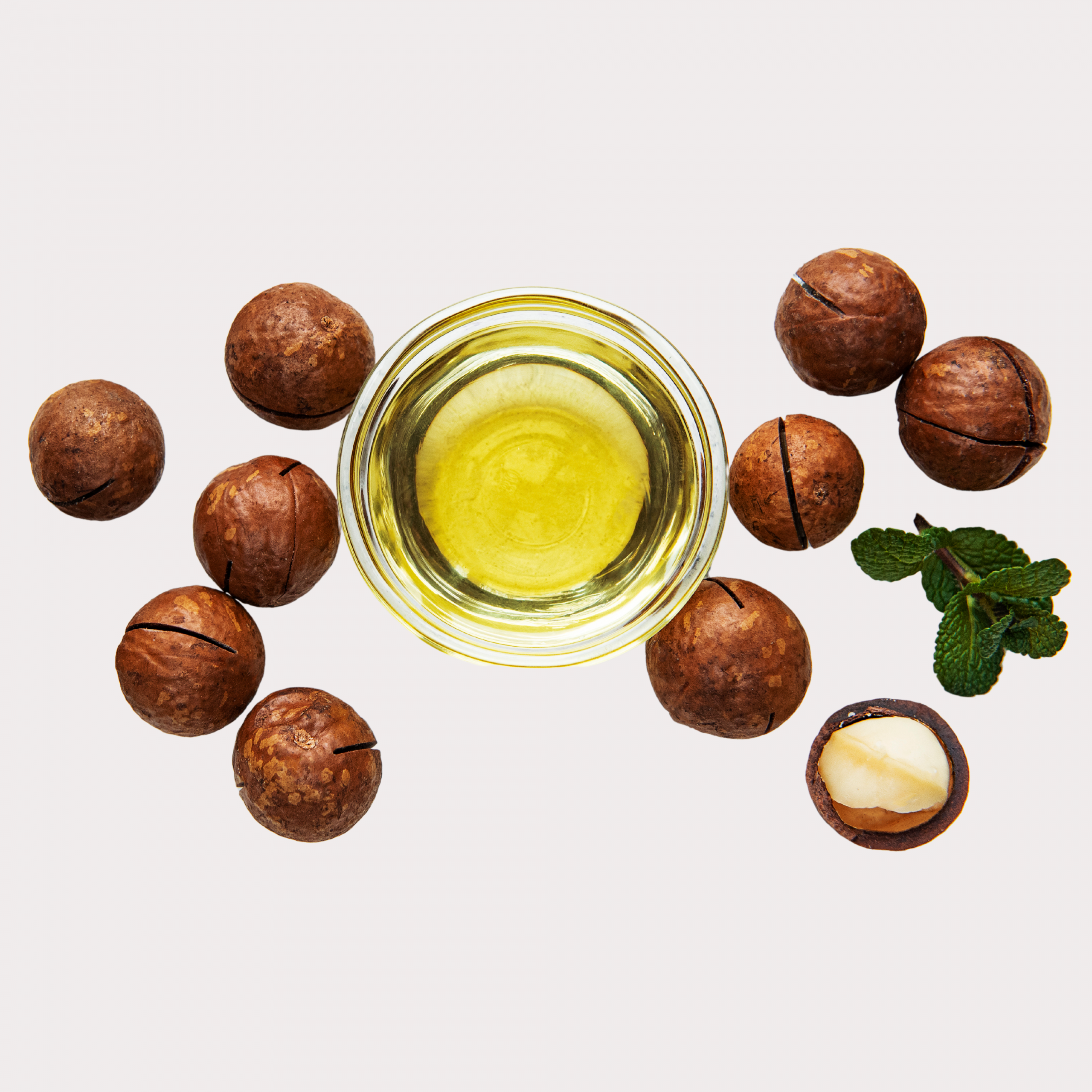 aceiteMacadamia